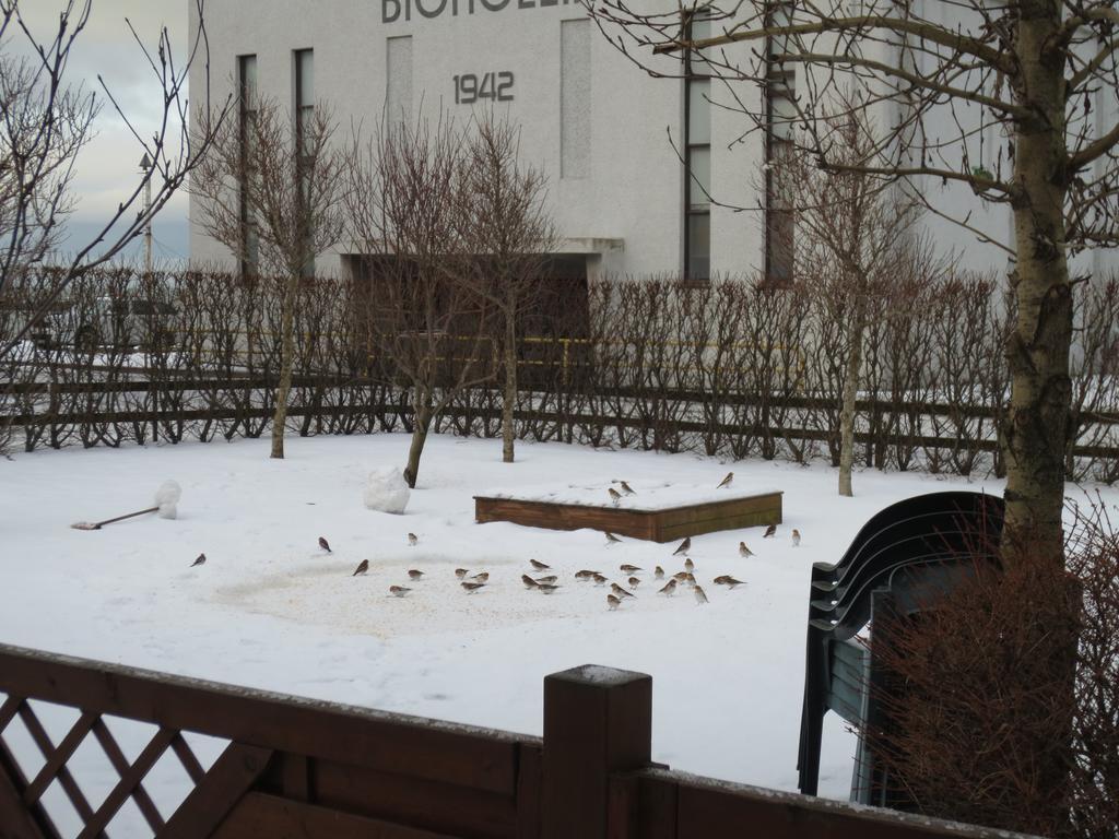 Teigur Guesthouse Akranes Buitenkant foto
